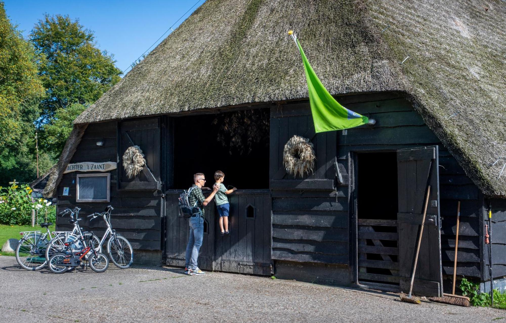 Camping De Bosrand Spier Eksteriør bilde